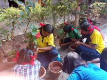 Tree plantation 