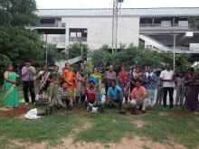 Tree Plantation Drive 